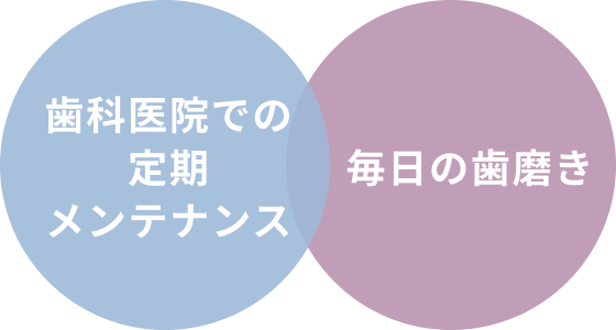歯科医院での定期メンテナンス・毎日の歯磨き